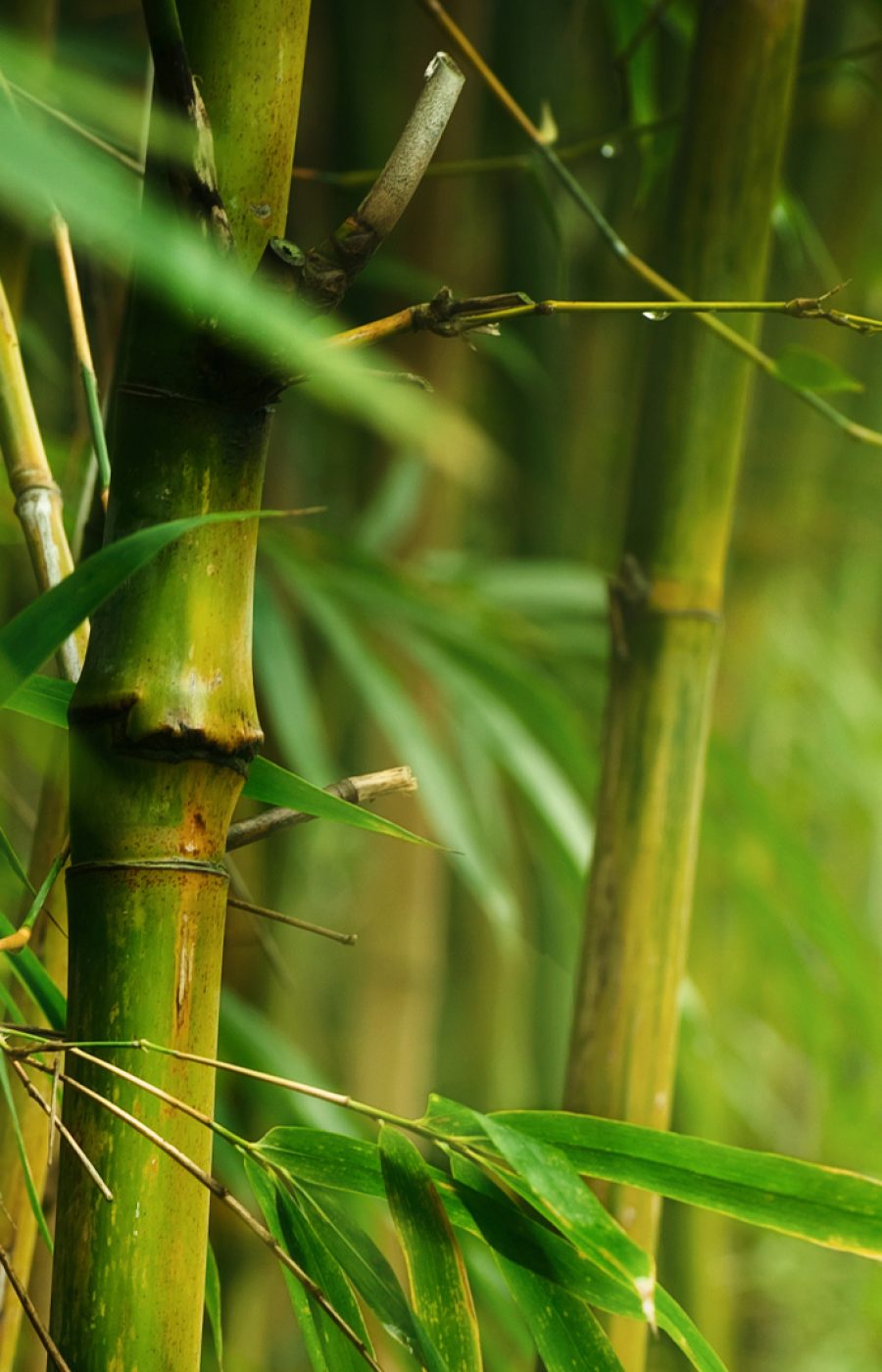 1920x1080_img_Valori_Andiamo 1920x1080_img_Valori_Andiamo